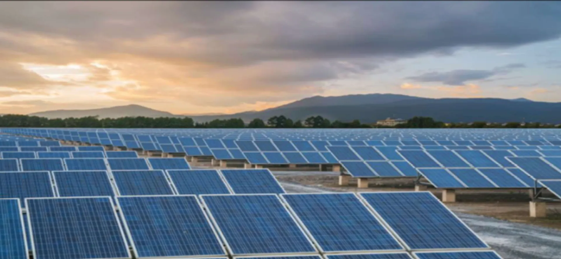 SJVN Green Energy invites bids for 1,960 MW PV modules 